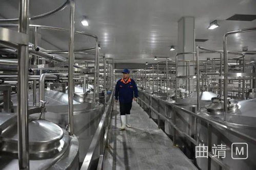 陸良2.8億投資項目順利進入試生產階段，區(qū)域經(jīng)濟迎來發(fā)展新動能