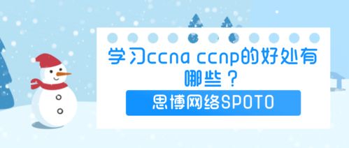 學(xué)習(xí)CCNA和CCNP 網(wǎng)絡(luò)科技行業(yè)的敲門磚與晉升梯