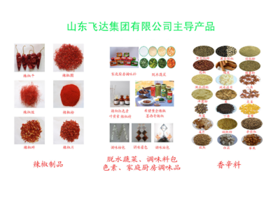 匠心調味，點亮每一餐——全方位解析調味品產品與生產工藝